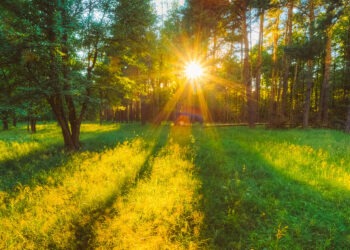 Zi însorită în Moldova: maxime de peste 25°C și cer variabil