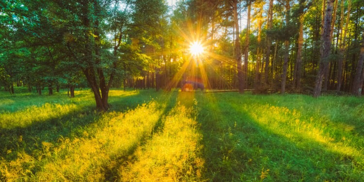 Zi însorită în Moldova: maxime de peste 25°C și cer variabil