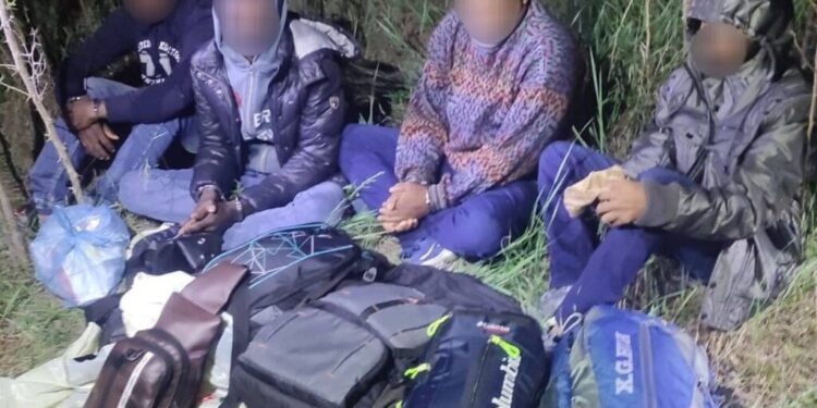 Пограничники пресекли канал нелегальной миграции в ЕС