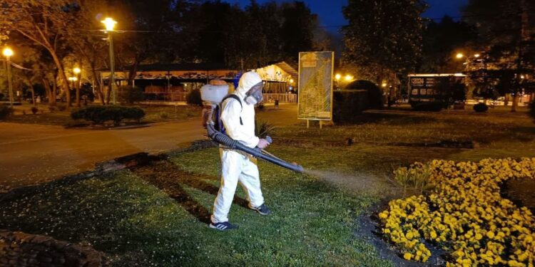 Зеленые зоны Кишинева начали обрабатывать от клещей: опасна ли химия для людей и питомцев