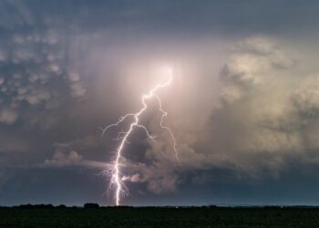 O grădină zoologică din Franţa a fost lovită de trăsnet. Cel puţin 15 răniţi