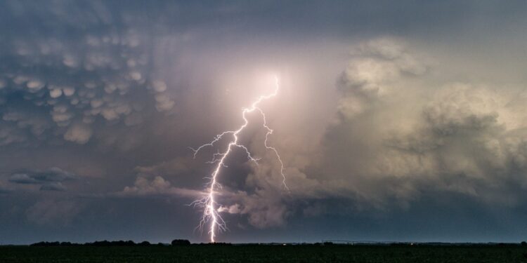 O grădină zoologică din Franţa a fost lovită de trăsnet. Cel puţin 15 răniţi