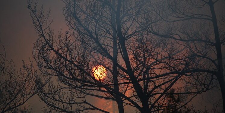 Магнитная буря 20 мая 2025 года: на Солнце произошла крупная вспышка M