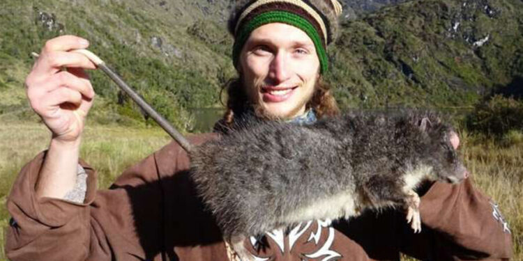 Ученые впервые запечатлели в дикой природе редчайшую шерстистую крысу-гиганта