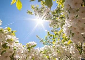 Прогноз погоды на 3 мая