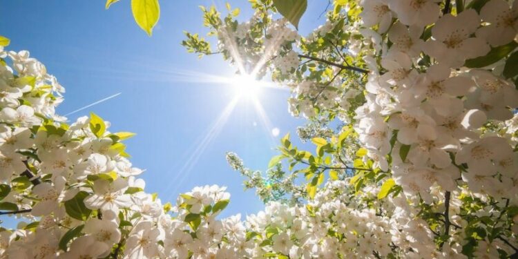 Прогноз погоды на 3 мая