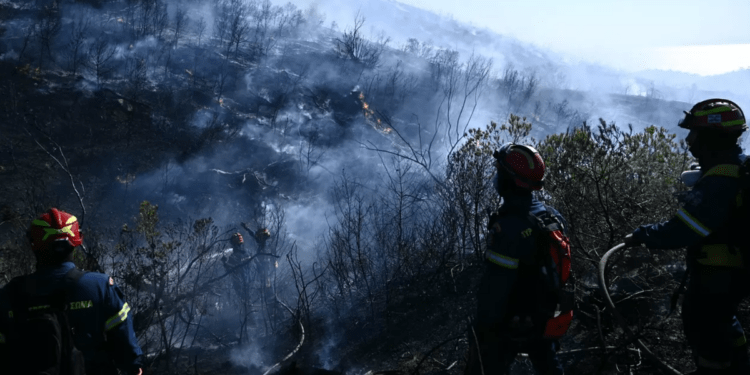 Flăcări devastatoare lângă Atena: locuințe distruse, 40 de oameni evacuați