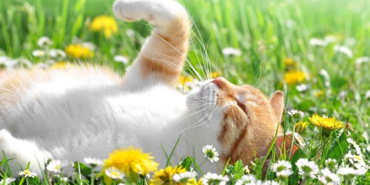 Синоптики рассказали, какой будет погода 11 июня