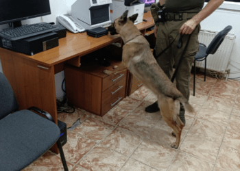 Пограничники обнаружили подозрительное вещество в пункте пропуска Костешты