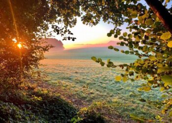 Синоптики рассказали какой будет погода сегодня 12 июня