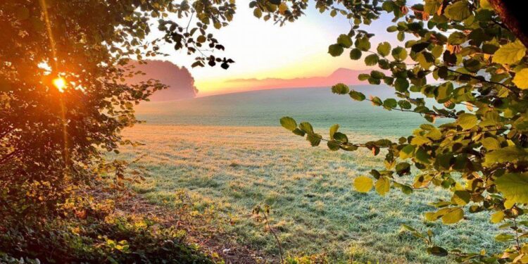 Синоптики рассказали какой будет погода сегодня 12 июня