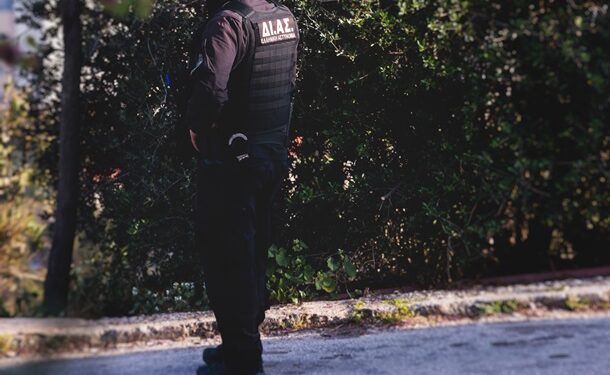 В Греции разоблачили группировку, которая продавала подделку Пикассо за 25 млн евро