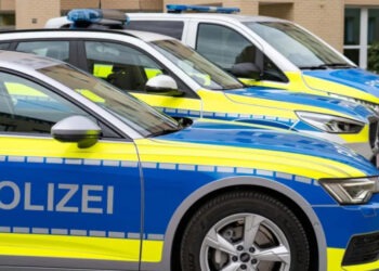 Молдованин задержан в Германии с похищенным из Нидерландов младенцем