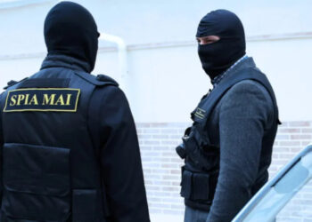 За вознаграждение обещал помочь с водительскими правами