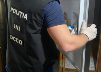 Торговали наркотиками в особо крупных объемах. Полиция задержала четырех подозреваемых