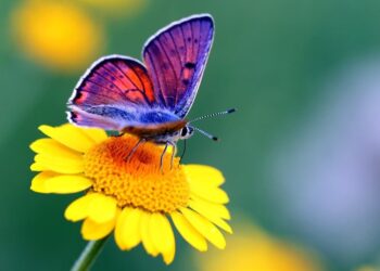 Облачно и тепло: Синоптики рассказали, какой будет погода 18 июня