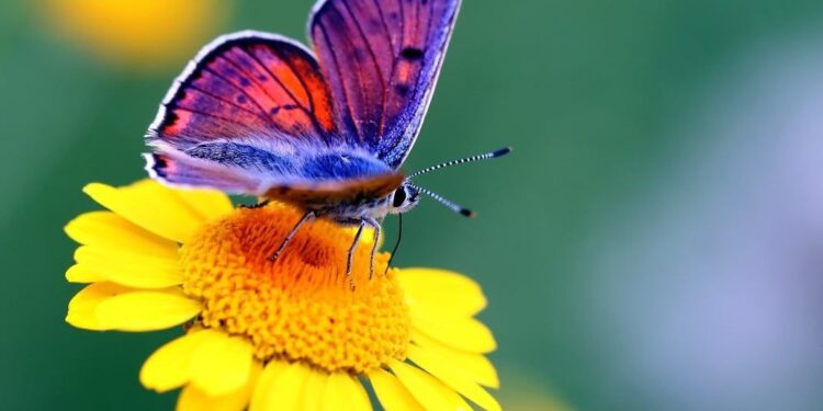 Облачно и тепло: Синоптики рассказали, какой будет погода 18 июня