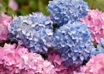 Синоптики рассказали какой будет погода 19 июня