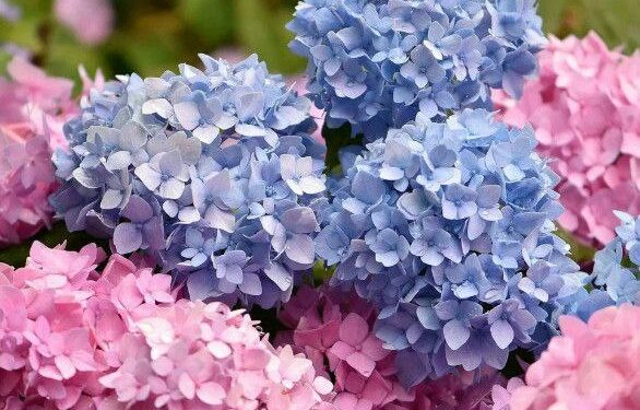 Синоптики рассказали какой будет погода 19 июня