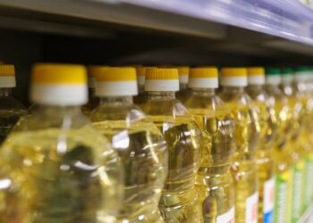 Производство и экспорт молдавского растительного масла сокращаются, зато растёт импорт более дорогого зарубежного | VIDEO