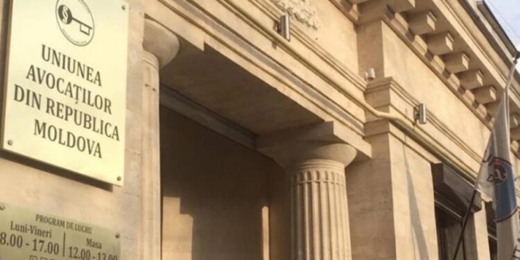 Адвокаты обвиняют НПО во вмешательстве и бойкотируют участие в «неадекватном» опросе | VIDEO