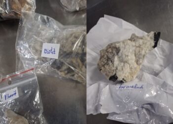 Гражданин Молдовы пытался провезти 69 полудрагоценных камней