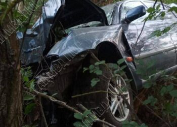 Авария в Приднестровье: Авто врезалось в дерево, пострадали 6 человек