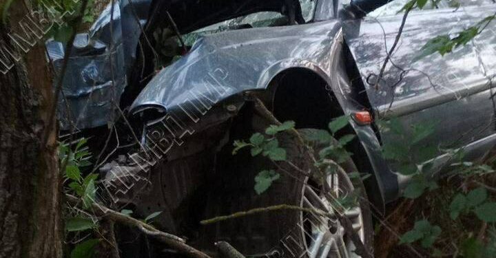 Авария в Приднестровье: Авто врезалось в дерево, пострадали 6 человек