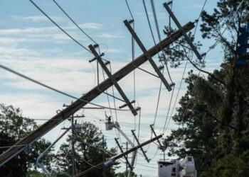 Предупреждение о сильном ветре: спасатели призывают соблюдать меры предосторожности