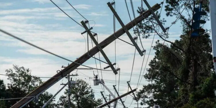 Предупреждение о сильном ветре: спасатели призывают соблюдать меры предосторожности