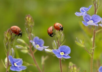 Синоптики рассказали, какой будет погода 30 июня