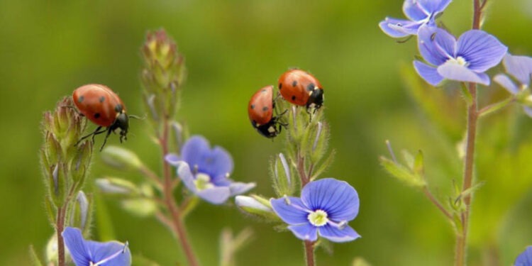Синоптики рассказали, какой будет погода 30 июня