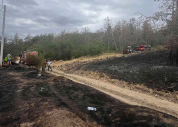 Гектары сухой растительности сгорели в Копанке