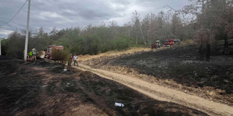 Гектары сухой растительности сгорели в Копанке