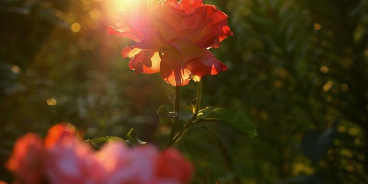 Переменная облачность и дожди: Какой будет погода 4 июня