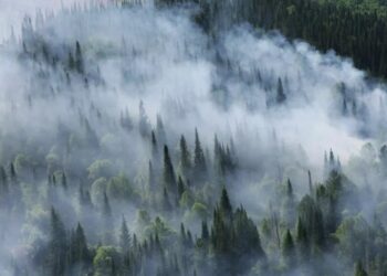 В Канаде лесные пожары уничтожили более 400 домов