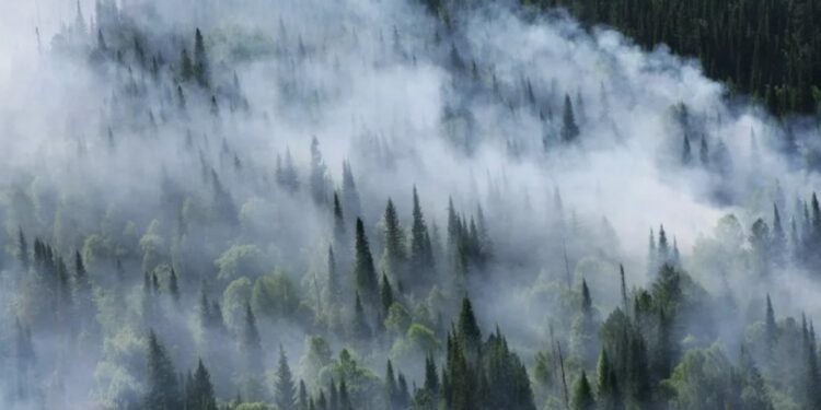 В Канаде лесные пожары уничтожили более 400 домов