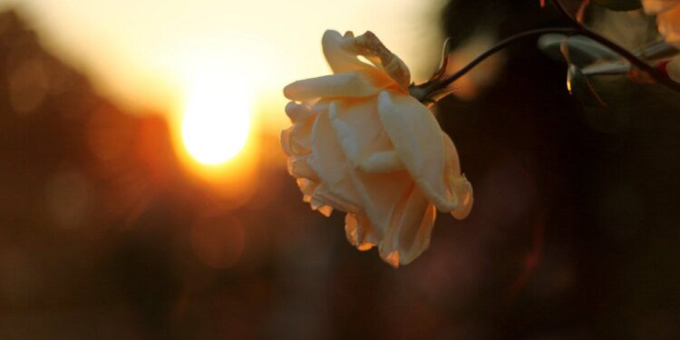 Облачно, но жарко: Какой будет погода в Молдове 5 июня