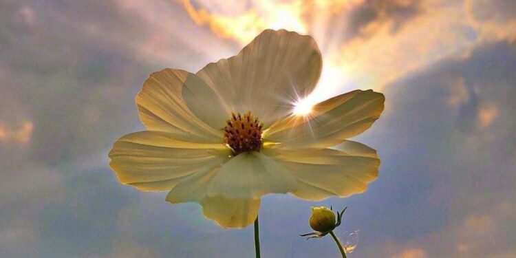 Солнечно и без осадков: Какие температуры ждут жителей Молдовы 2 июня