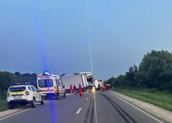 Авария в Страшенском районе: водитель погиб после того, как грузовик выехал на встречную полосу, пытаясь избежать столкновения с косулей