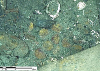 Археологи заявили о находке крупнейшего подводного клада в истории