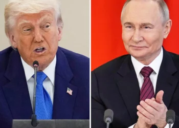Трамп и Путин поговорили по телефону