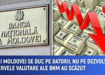 Rezervele valutare se epuizează pentru achitarea datoriilor: minus 80 de milioane de euro într-o lună