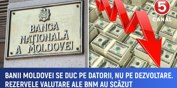 Rezervele valutare se epuizează pentru achitarea datoriilor: minus 80 de milioane de euro într-o lună