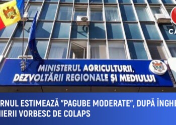 Guvernul estimează „pagube moderate” după înghețuri. Fermierii vorbesc de colaps