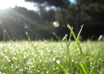 Прогноз погоды на 21 июня