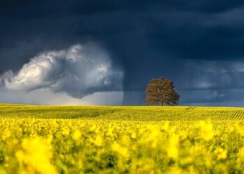 Прогноз погоды на 14 июня