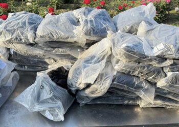 Пограничник обнаружили контрабанду на КПП Леушень