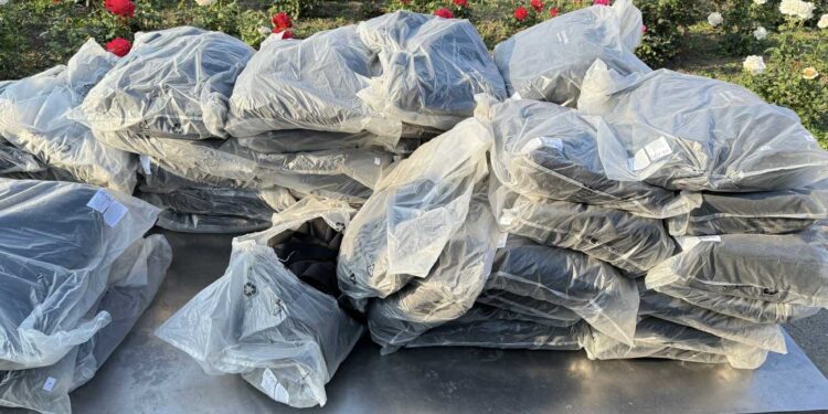 Пограничник обнаружили контрабанду на КПП Леушень