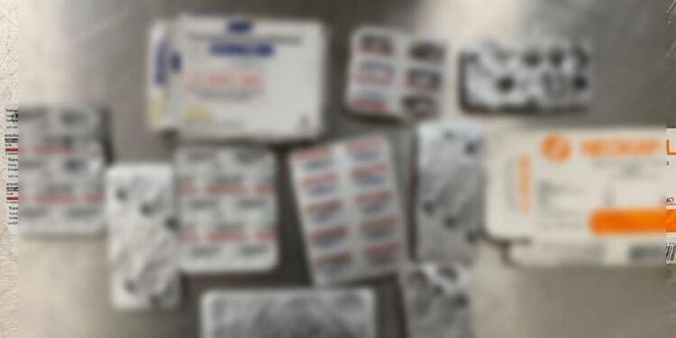 Психотропные препараты обнаружены на КПП Скулень при помощи служебной собаки